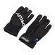 Гірськолижні рукавиці Oakley Factory Winter Glove 2.0 2200000136824 фото 1