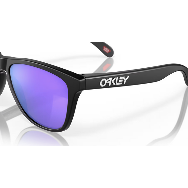 Сонцезахисні окуляри Oakley Frogskins Matte Black/Prizm Violet 2200000110695 фото