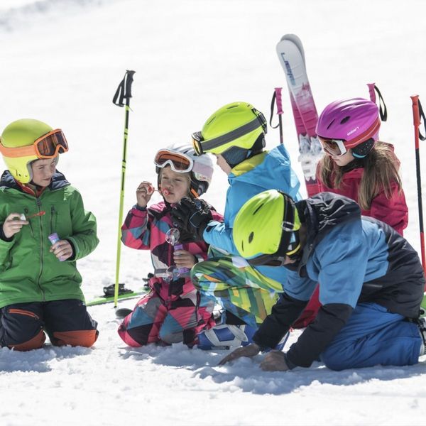 Дитячі лижі Elan Sky QS EL 7.5 21/22 3838855692630 фото