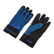 Паркові рукавиці Oakley Ellipse Foundation Gloves 2200000149046 фото 1