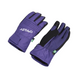 Гірськолижні рукавиці Oakley TNP Snow Glove 2200000148551 фото 1