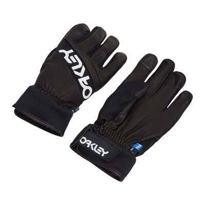 Гірськолижні рукавиці Oakley Factory Winter Glove 2.0 2200000118431 фото