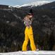Жіночі гірськолижні штани Horsefeathers Lotte Pants 8592321592811 фото 7