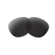 Лінза Oakley Latch/Prizm Black
