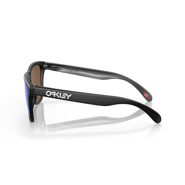Сонцезахисні окуляри Oakley Frogskins Matte Black/Prizm Violet 2200000110695 фото