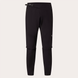 Велоштани Oakley Seeker Airline Pant 8056153246231 фото 4