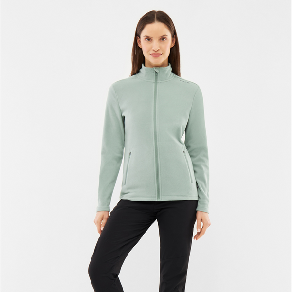 Жіноча флісова кофта Viking Midlayer Fleece Tesero Polartec Lady 5907041002695 фото