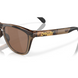 Сонцезахисні окуляри Oakley Frogskins Range Brown Tortoise/Brown Smoke/Prizm Tungsten Polarized 2200000182661 фото 6
