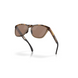 Сонцезахисні окуляри Oakley Frogskins Range Brown Tortoise/Brown Smoke/Prizm Tungsten Polarized 2200000182661 фото 4