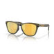 Сонцезахисні окуляри Oakley Frogskins Range Dark Brush/Prizm 24k Polarized 2200000182678 фото 1