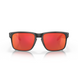 Сонцезахисні окуляри Oakley Holbrook Black Camo/Prizm Ruby 2200000066985 фото 2