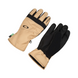 Гірськолижні рукавиці Oakley Roundhouse Glove 2200000166487 фото